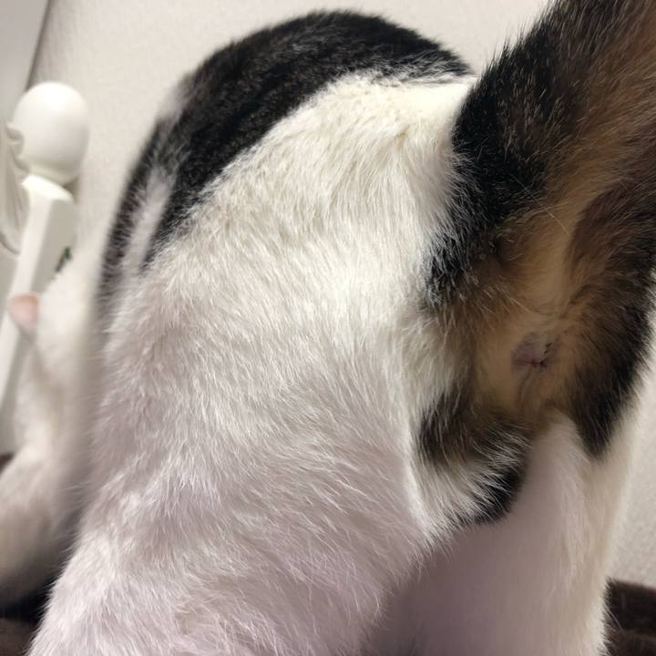 A7bafb33 c737 4b70 89b7 970884d103c9 1542444756421