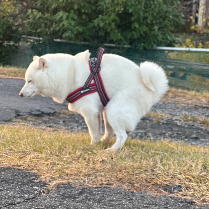 A7bb0f10 50c5 4833 9d13 9d1a15559239 1765543118758