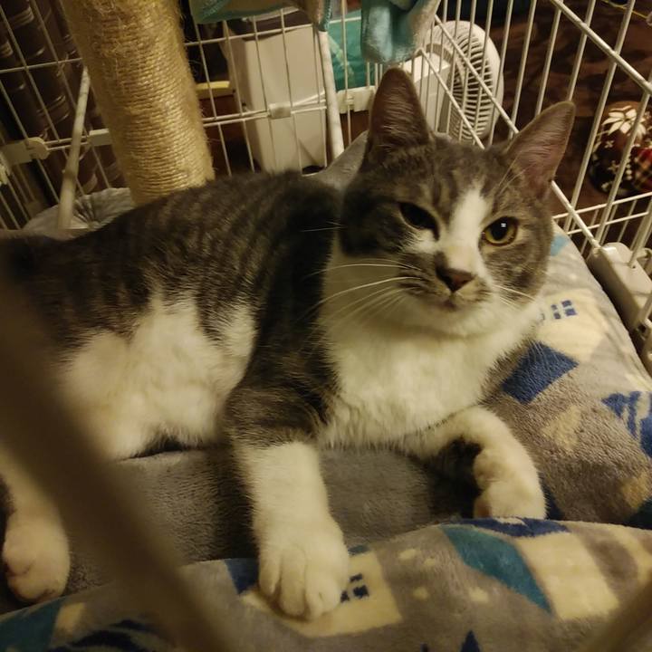 A7bb1dc5 0a60 4c94 9d2e 801b25efee51 1577292807487