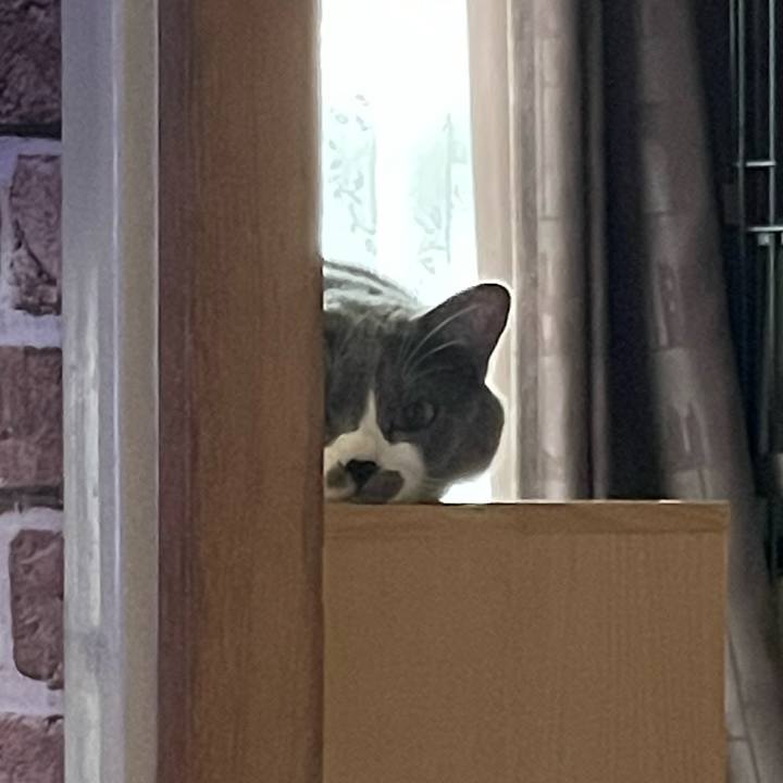 A7bb2bb3 025a 4330 afb7 a9ad7a814b9d 1661118856676