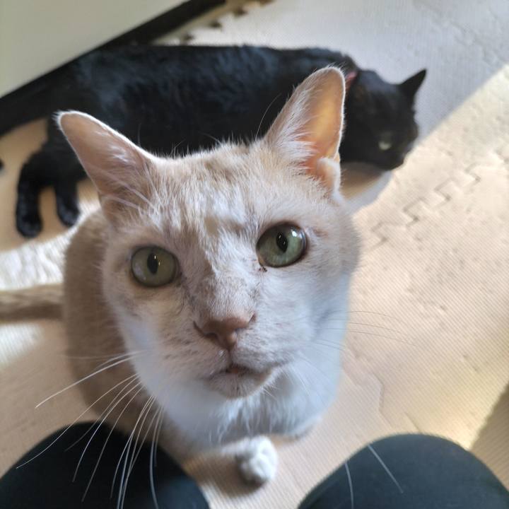 A7bb9578 7e3a 4730 9df0 cd76d3b578fb 1656629408725