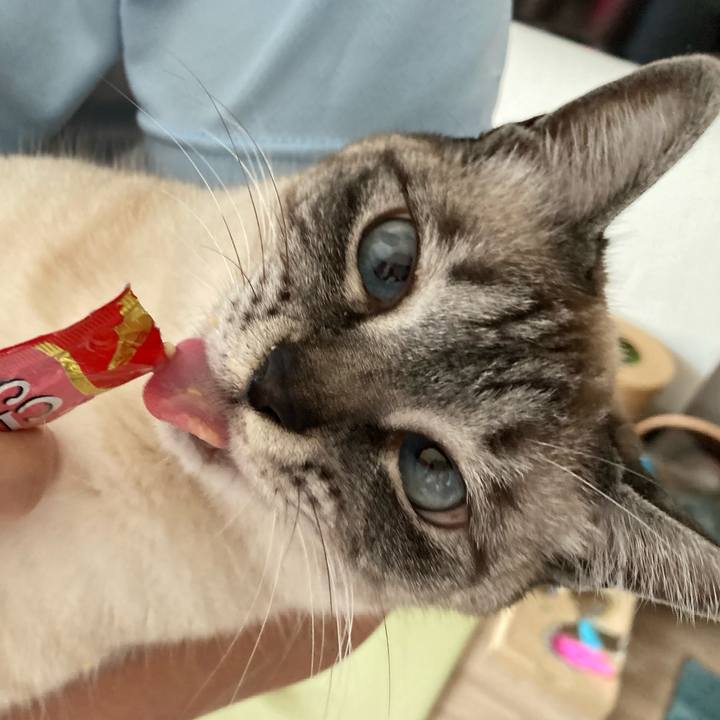 A7bbb705 3242 4e35 b8e5 67bfe56ff090 1620170417632