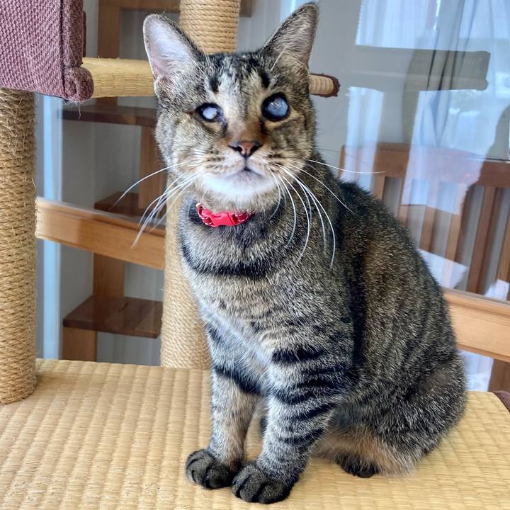 A7bbec91 dcd6 4282 beee 8a56a624a4c9 1633260519994