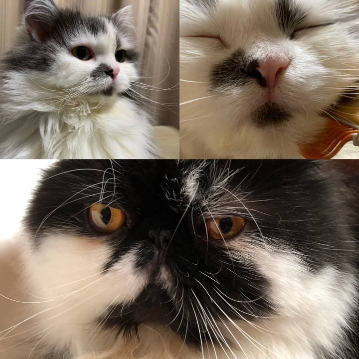 A7bbf9d4 1a6e 4829 8ebb da2e2f8f7e37 1542290591830