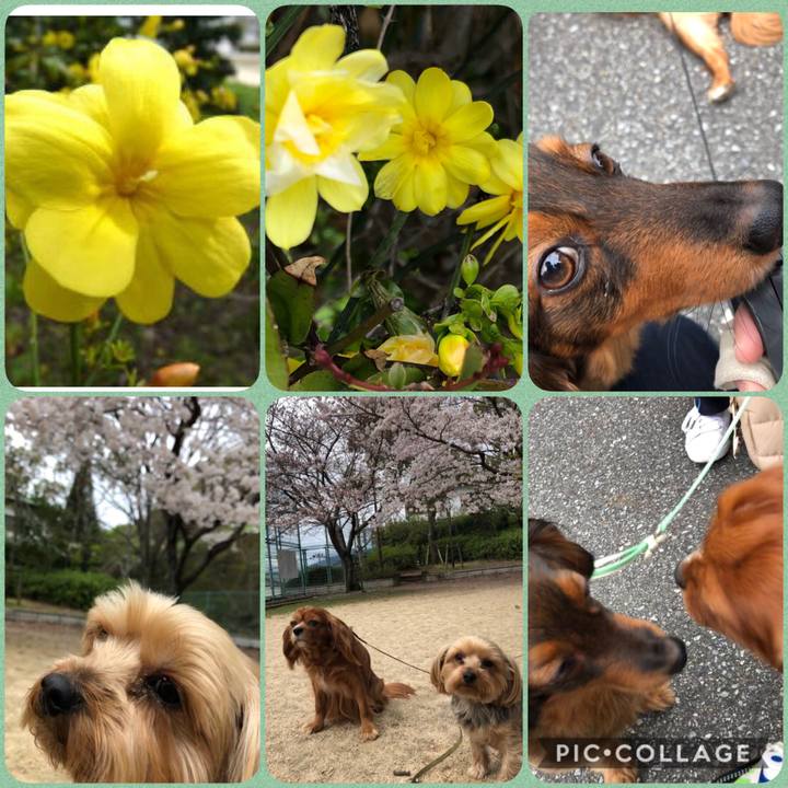 A7bbfa61 545a 42db b081 c4adb05818de 1585379198711