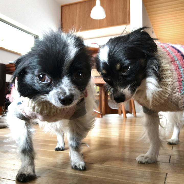 A7bc1120 77eb 4158 ae3f d000bf6c8a41 1519568404870