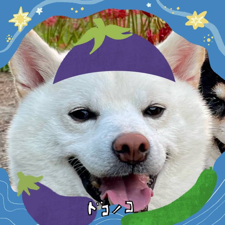 A7bc1a6b f171 48c3 9455 6d4b84f6f970 1755135309669