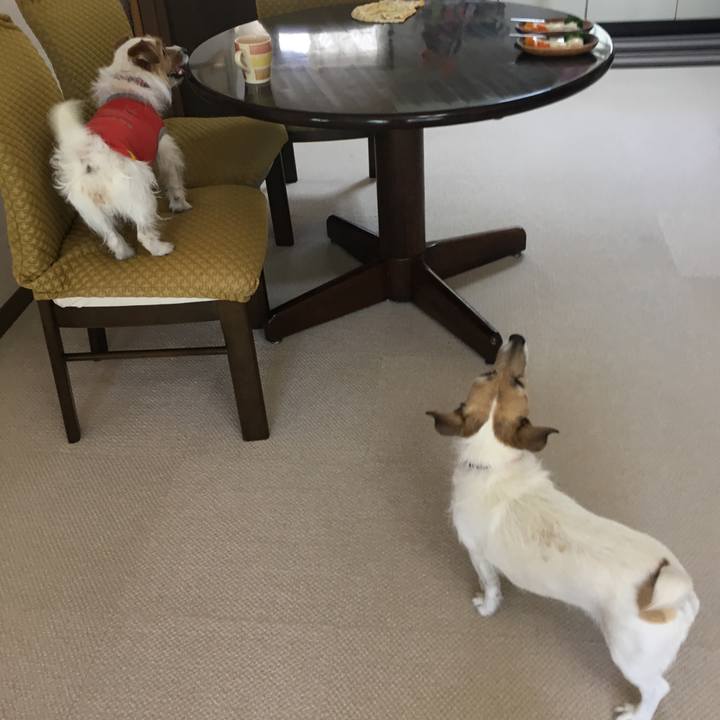 A7bc4c32 a832 4842 a9f6 6960b69e2ce8 1525605621571