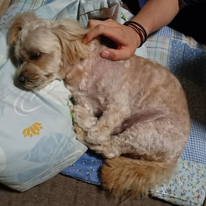 A7bc80ea baa9 43d8 9f46 a5429b7c2282 1601209414294