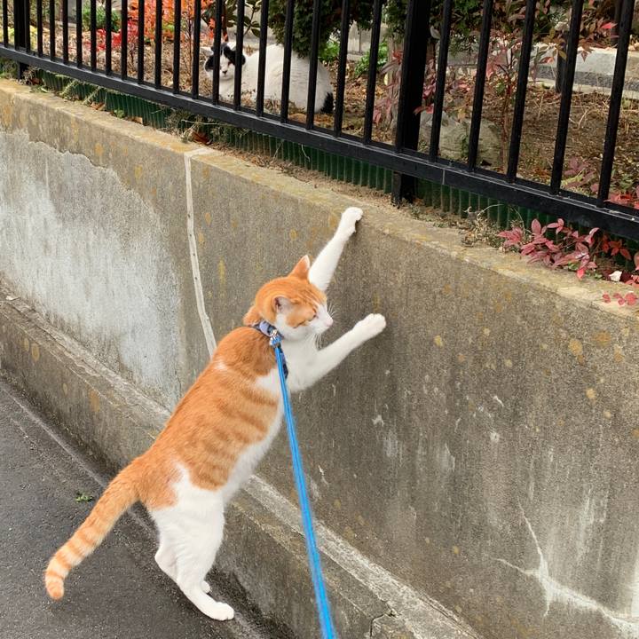 A7bcc4e8 0fa4 48d8 80a6 136ff4cfccd7 1582690627712