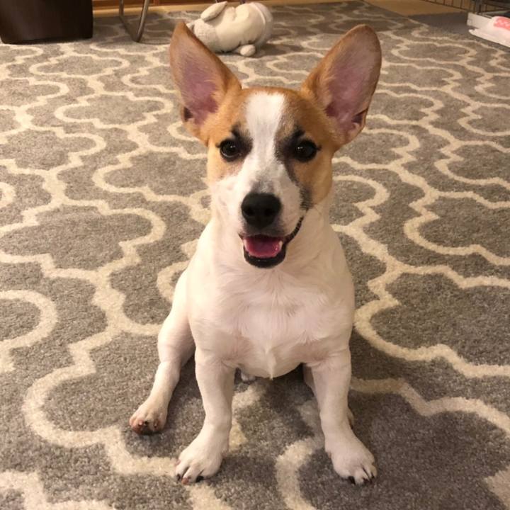 A7bce7d2 d494 4f74 beac 9ccb5c66563a 1558192166133