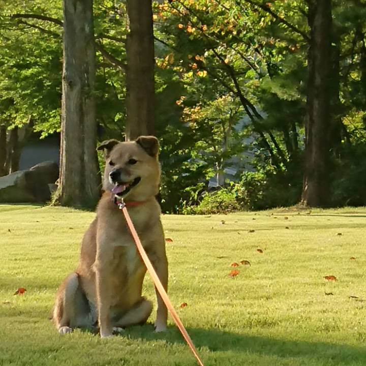 A7bcf397 e91c 4b6e a00b 8e82ee5af65e 1665412605203