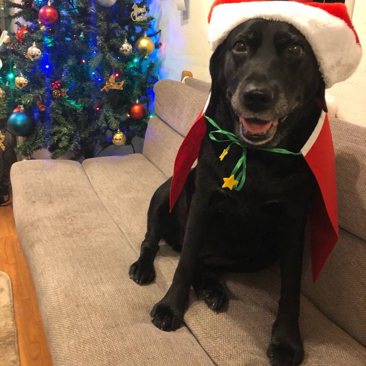 A7bd2690 47a4 41e0 b84c 727c59be1435 1545657227090