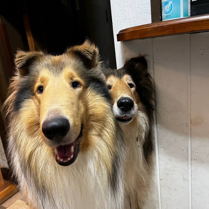 A7bd32e7 d3d2 44a9 b507 8d005be05b59 1758709341537