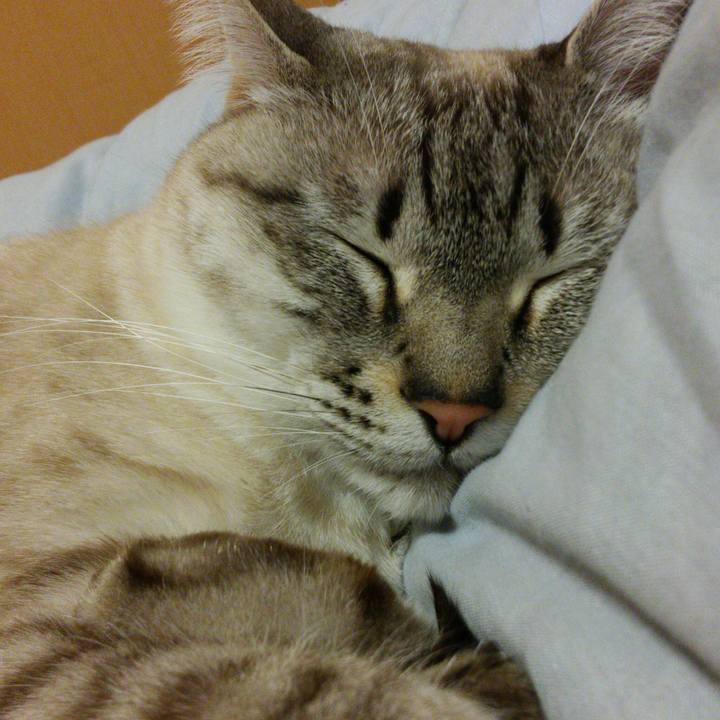 A7bd3483 8e54 4e5f b894 472596d2dcab 1517409146167