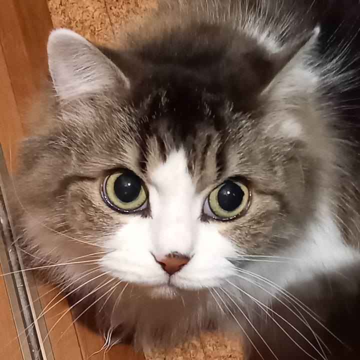 A7bd49de a5bc 4782 b061 e90e03e447f4 1638015402882