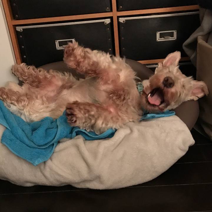 A7bd8cef d0f7 477a 8241 b4e320afd409 1559079111122