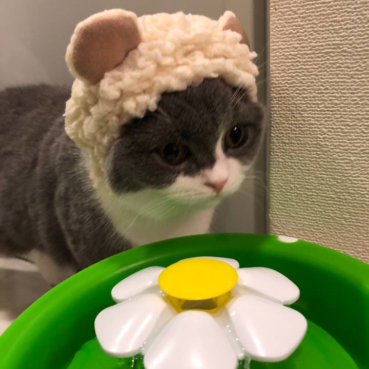 A7bdb1bd 2c77 4d36 b845 afaaf56fa16c 1514176084525