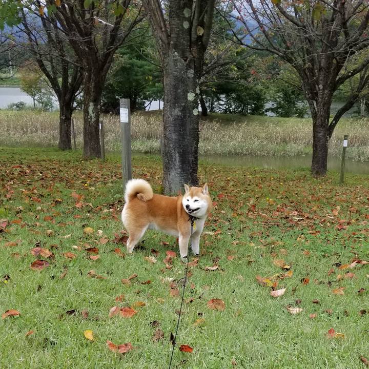 A7bdcadc 1e9f 482c 81db c9b986279559 1601875655477