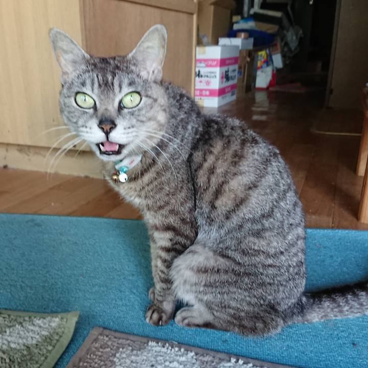 A7bde0df 5662 45f5 ba1e e48741521823 1561455188461