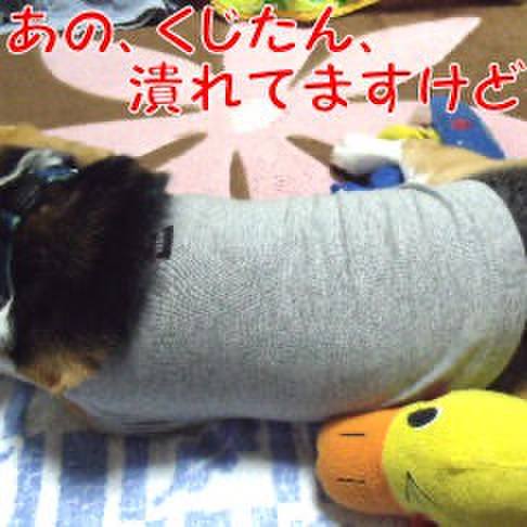 A7be6826 84bf 4098 854d ee15af437bc9 1718409460726