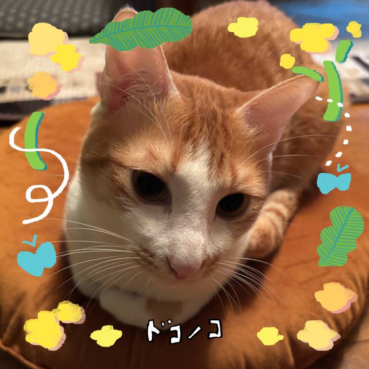 A7be6d0e 7479 44a4 8078 3651a8915f57 1744624610380