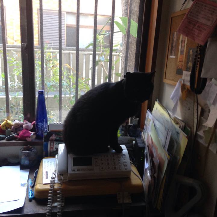 A7bedcf1 577f 4aef b4f5 50de6df97927 1511256678646