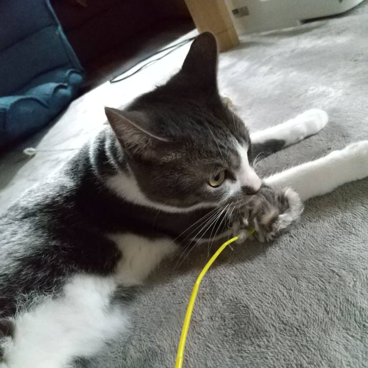 A7bf01a9 493b 4ac4 962d d0d782151122 1598227686982