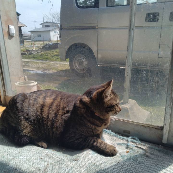 A7bf2e27 f731 4e97 9eb9 6818e9a92c38 1711876341860