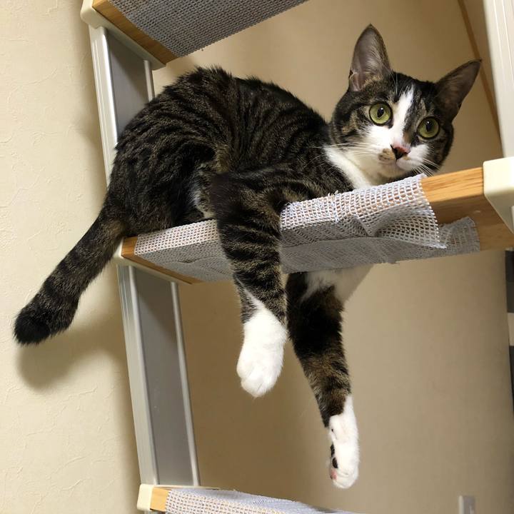 A7bf4c44 01a7 4657 865b 006a8bd8e520 1518636138204