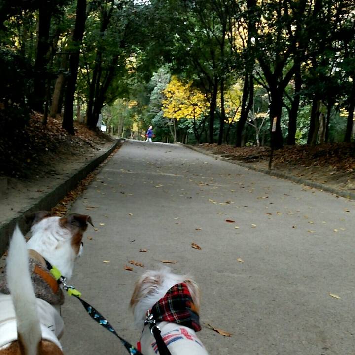 A7bfa695 6b33 454c 8975 ea6d9a84f9e3 1511674236787