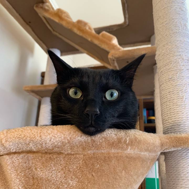 A7bfbcde c0d2 4ce0 9a80 a0a74219f9d4 1614227424905