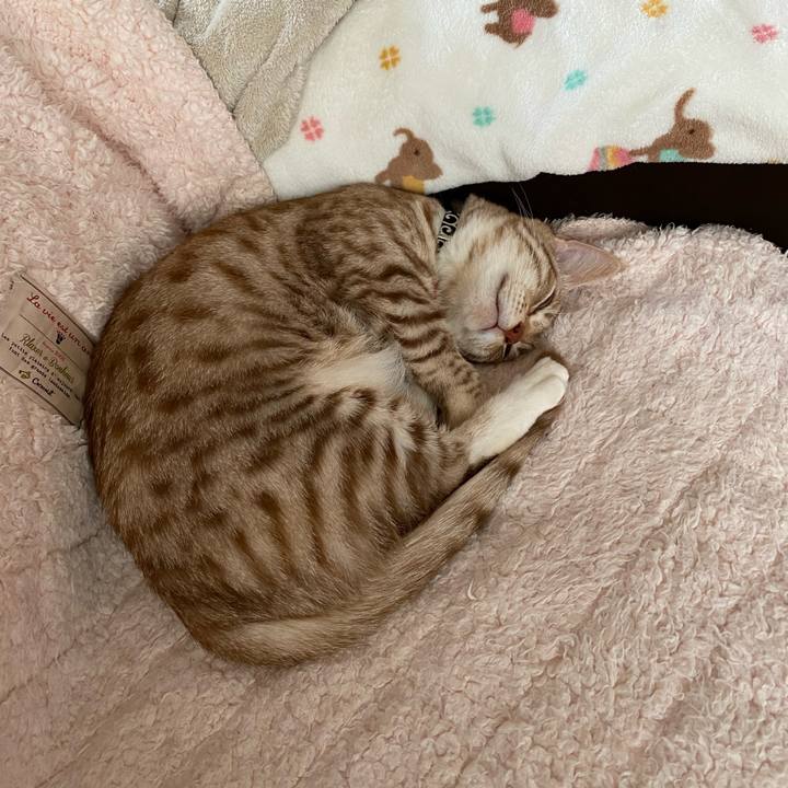 A7bff0e7 5583 44d9 9f96 62ce6890f256 1645322079820