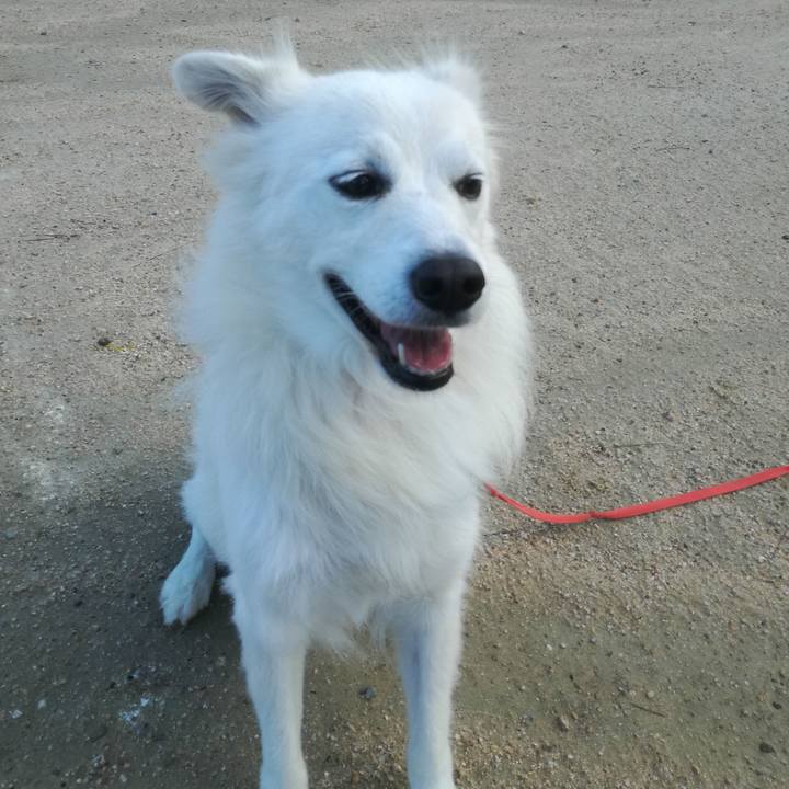 A7c00146 71f5 431a bb38 492911083387 1508718707519