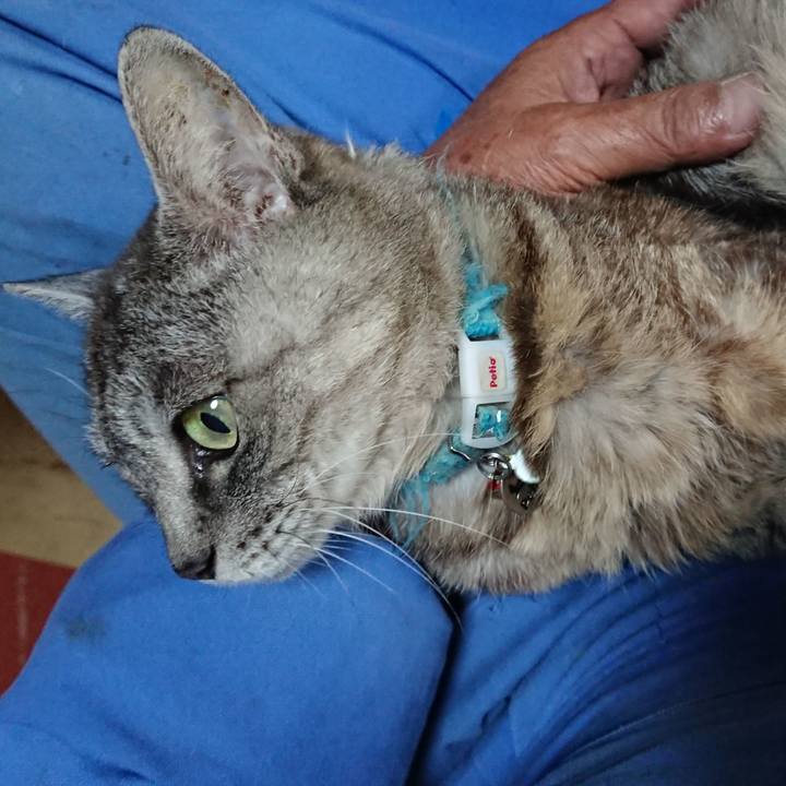 A7c033fd 0a36 407c 82d8 19712785e6a3 1569031070161