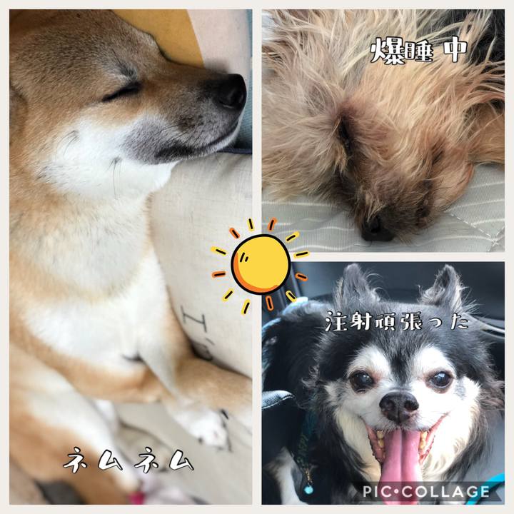 A7c037d4 6d09 487c 9667 25e9a5749726 1533785853762