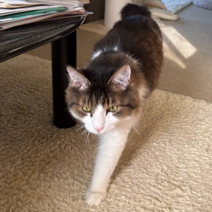 A7c05b24 b75f 4b4f 919d 8a9c9c3418f7 1741826935048