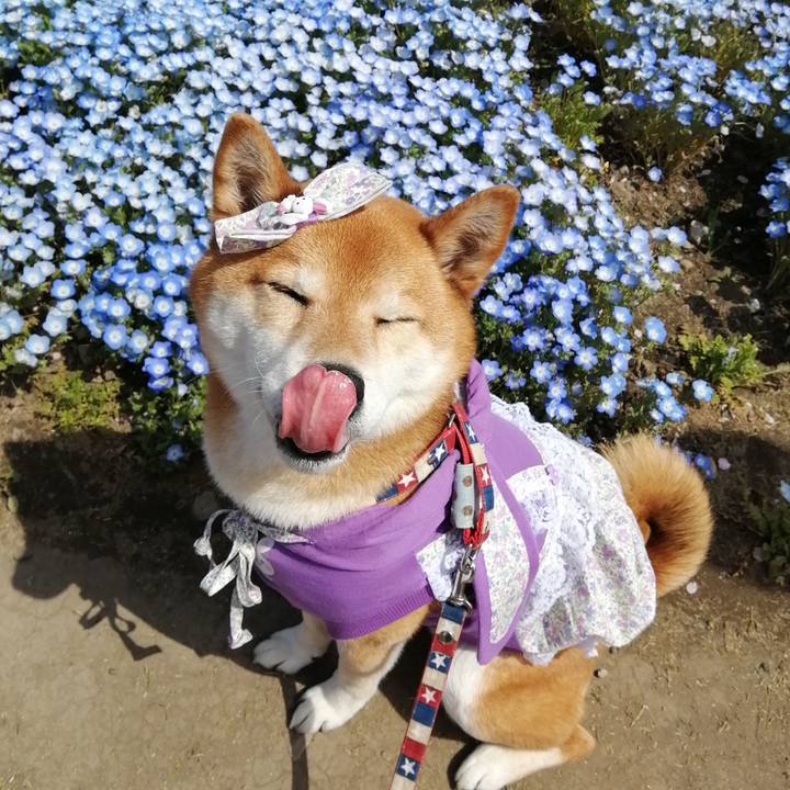 A7c0c117 c9ce 4b01 8bb9 0ee8acb5dafb 1681209148212