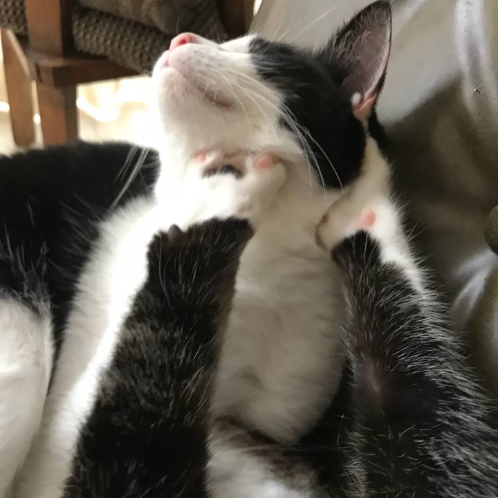 A7c11b87 e857 4a96 bf2b 76e8bb6284f7 1532075735403