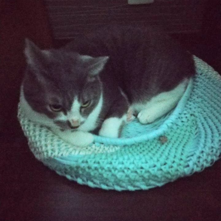 A7c1624b 612e 4064 b589 010780670865 1635371529773