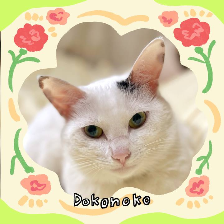 A7c167fa 925a 419a a8b2 1bad90395cc5 1715221167790