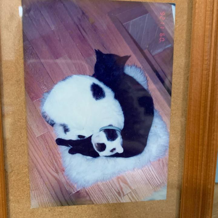 A7c16855 7312 43ab 9853 08ee76de7b1b 1560299203341