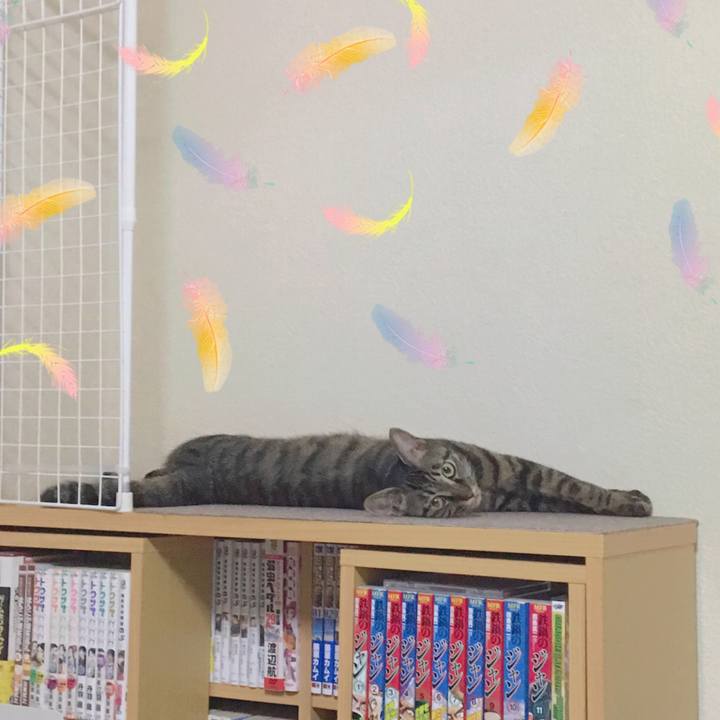 A7c1a30c 5b87 41bf 8caf c7d512274a1f 1563103277797