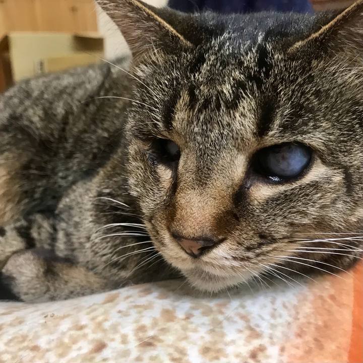 A7c1a505 c4e5 4883 b382 8ca6a524df94 1619687805272