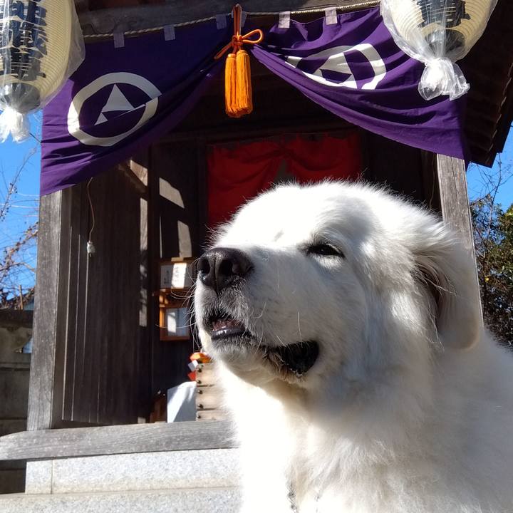 A7c1c81e 8514 4c0f a72b 7738ab5c0ad0 1672709974982