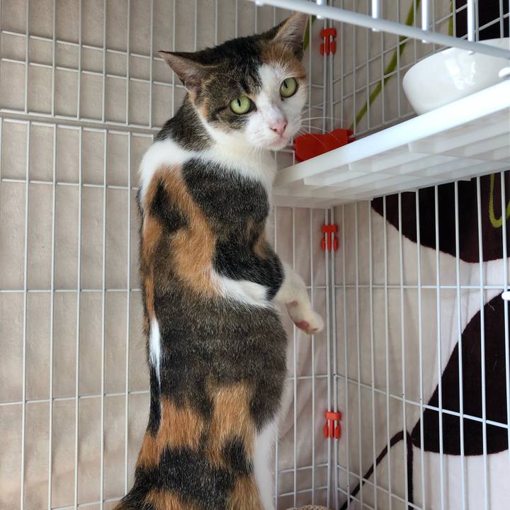 A7c24ee4 b33f 4f6f be81 82b39b5d78ed 1572225046133