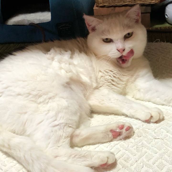 A7c26095 d4ea 4c5d a330 1ac016611751 1572524281492