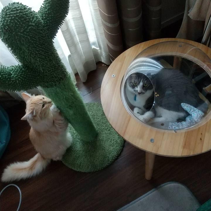 A7c2688e 555a 4bc7 a69a 3f578acb4814 1622342014392