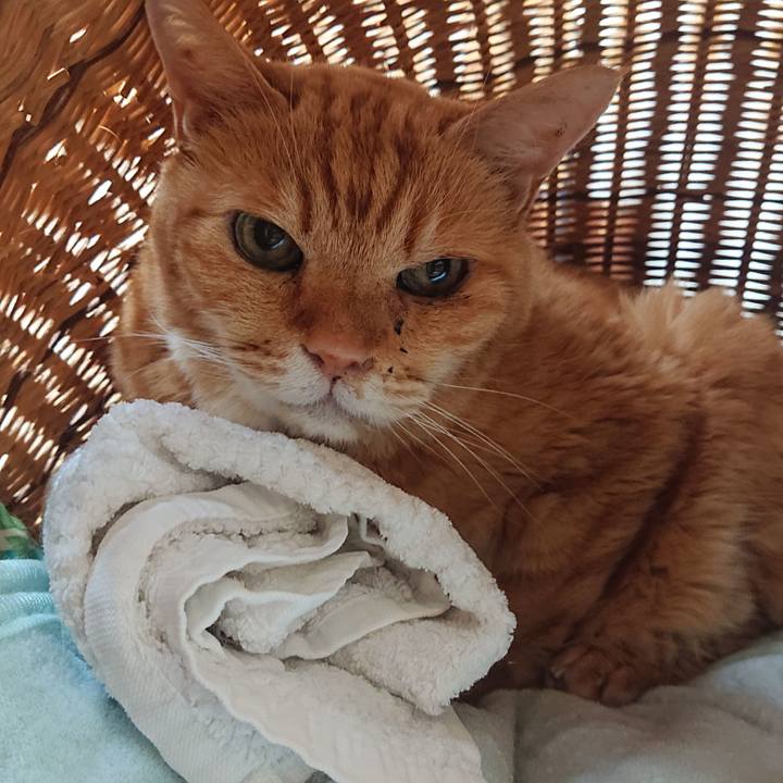 A7c28de4 fb50 464e aa5e 4571a7f9dc4d 1725199324355