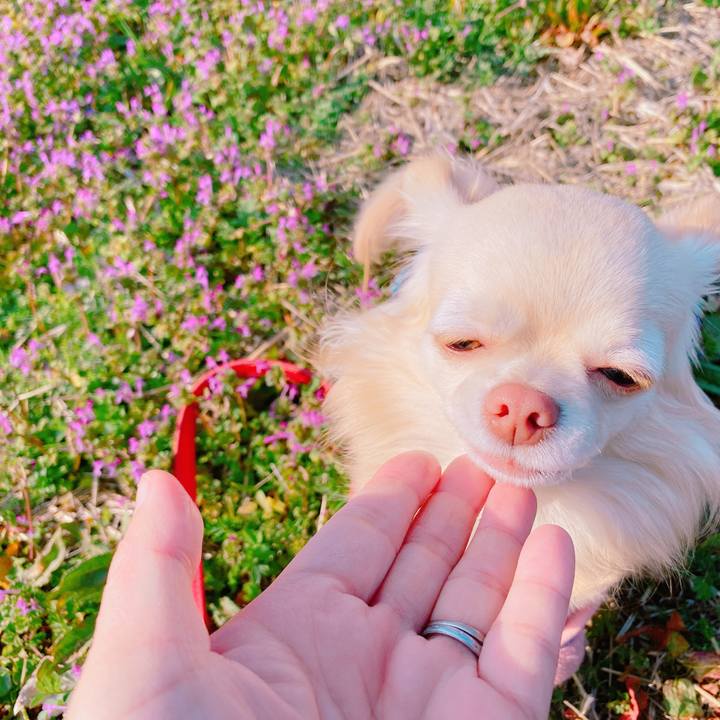 A7c292b6 b95d 4fc6 a868 2173d8aa9943 1647001346272